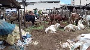 Déguerpissement des Garbal : Les occupants de Djélibougou entre résignation et suggestions